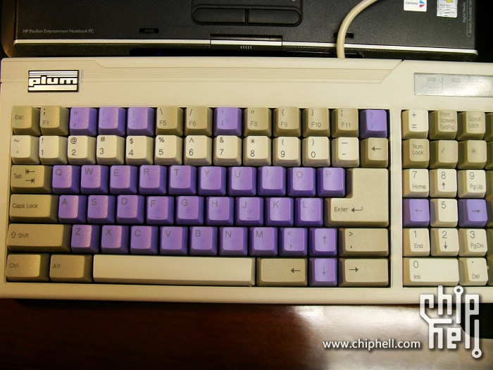 Plum 86.jpg