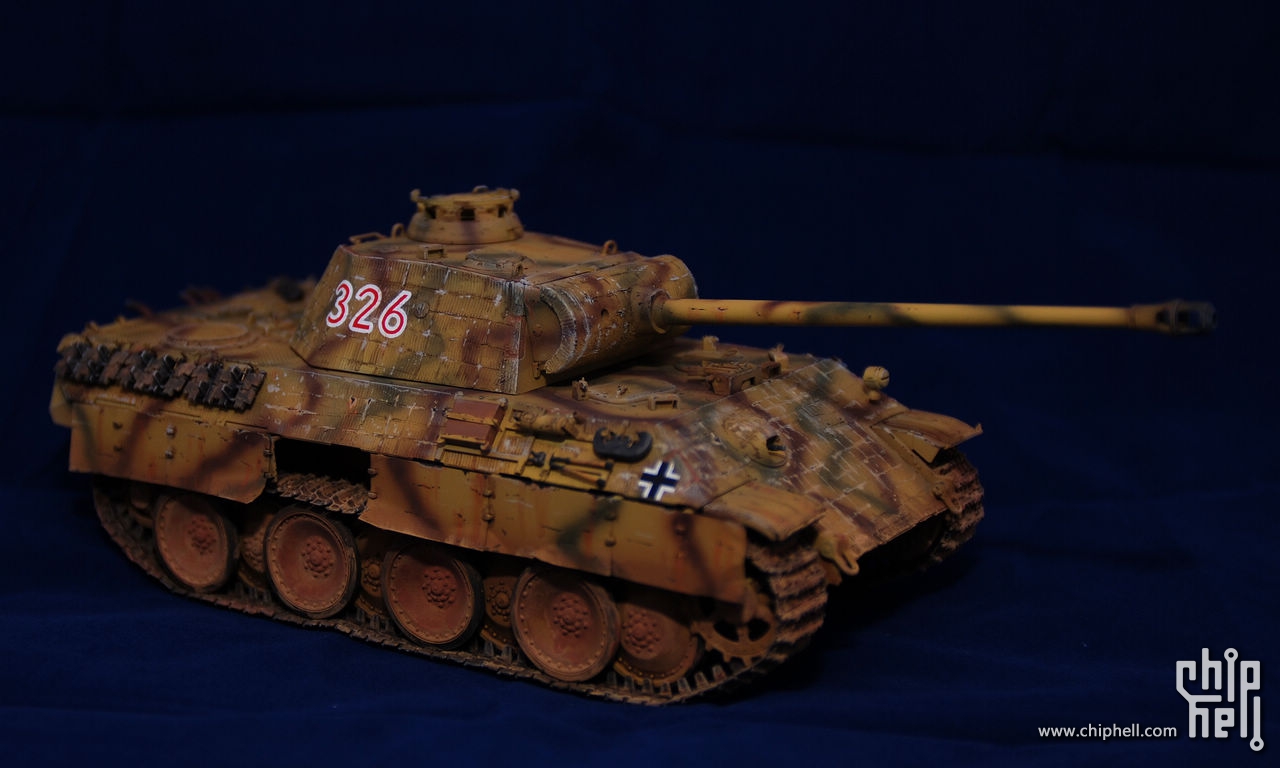 爬虫党德国军马与北非豹4号战车豹式