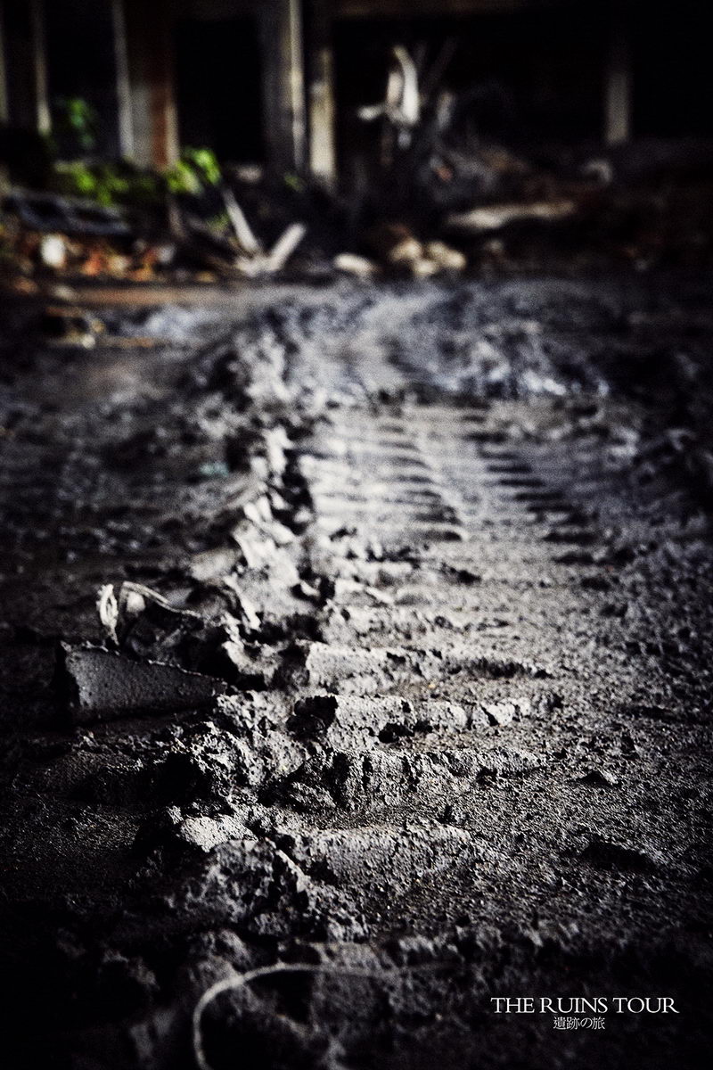 _0080.jpg _0080.jpg
