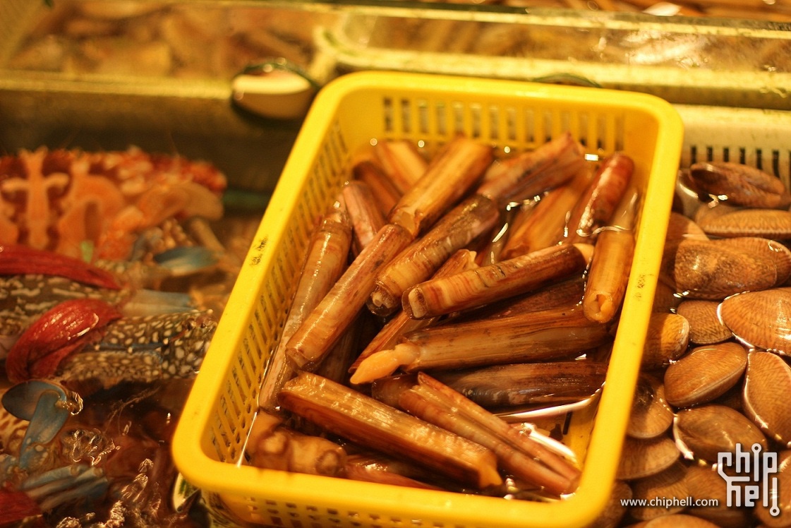 廈門一個角角落落旮旮旯旯巷子裡的海鮮食館