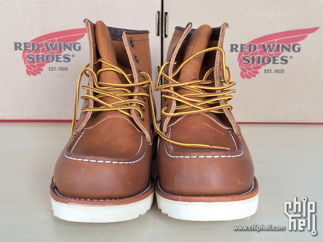 red wing 1907 875
