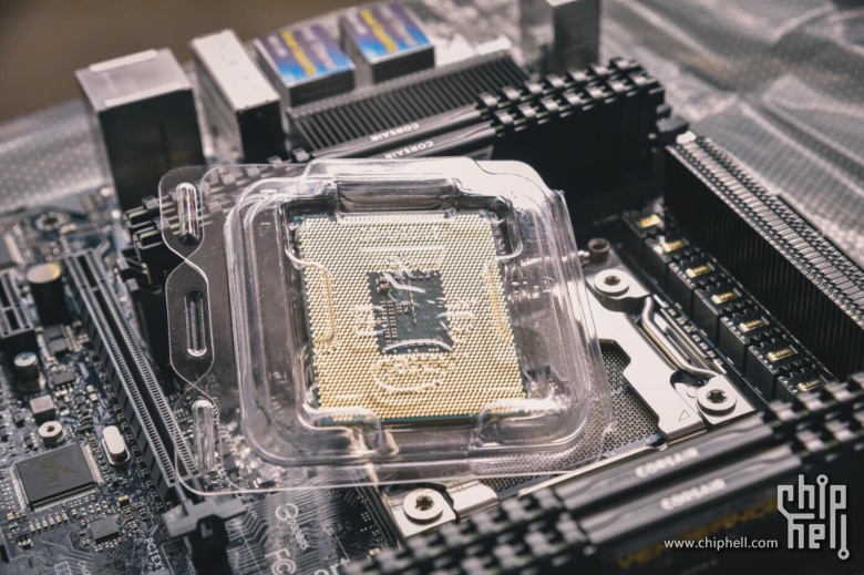 骚动的心,骚动的绿,骚动的钢炮