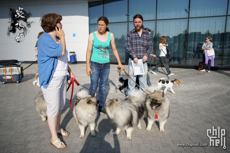 russiamoscow莫斯科worlddogshow20164day