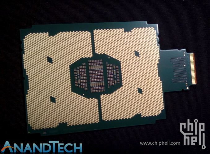 "鱼,好大的鱼,虎纹鲨鱼"lga 4094针 ,810mm ,200亿 晶体管