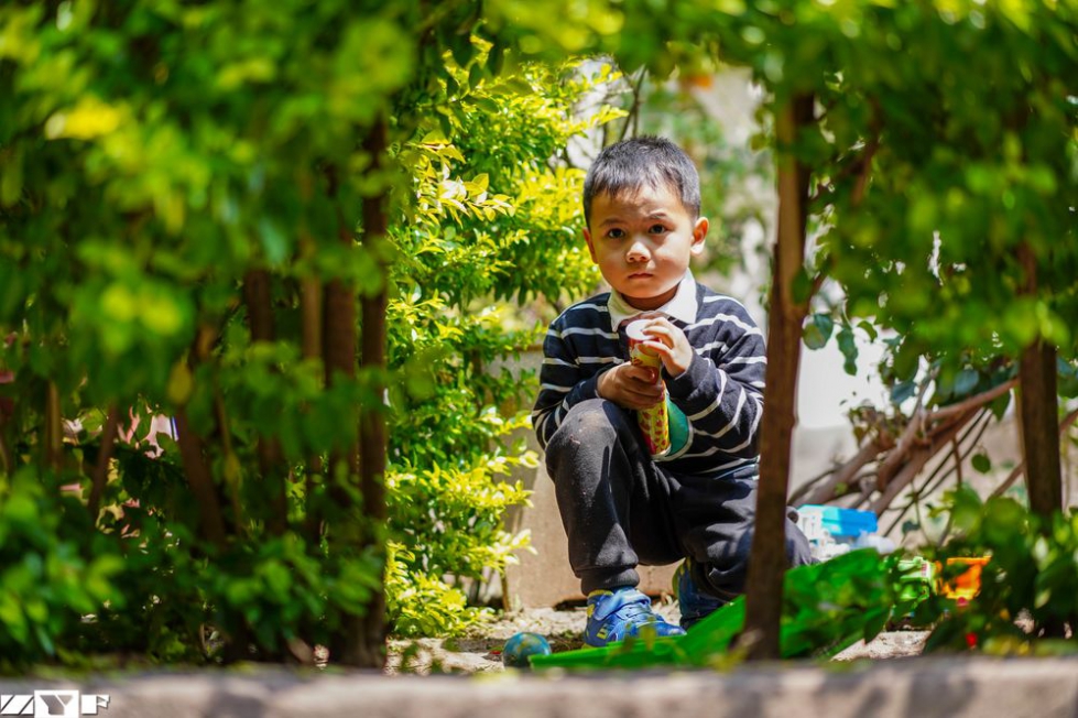 A7M3+55 1.8,拍娃党的日常