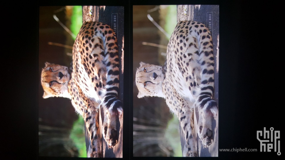 手持一加6,今天去看了一圈最近的热门手机