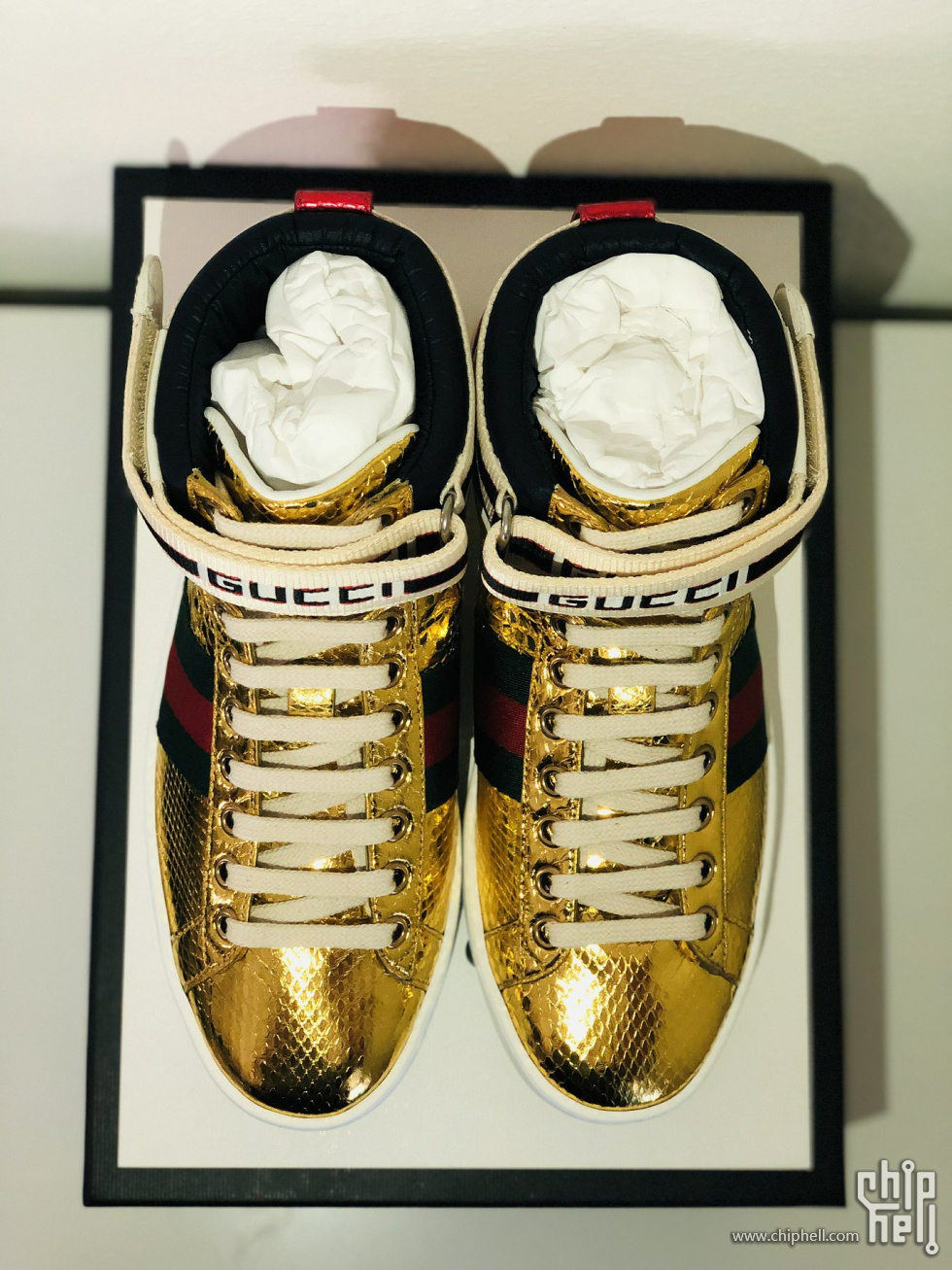 亮瞎狗眼的 gucci ace high metallic snakeskin sneakers