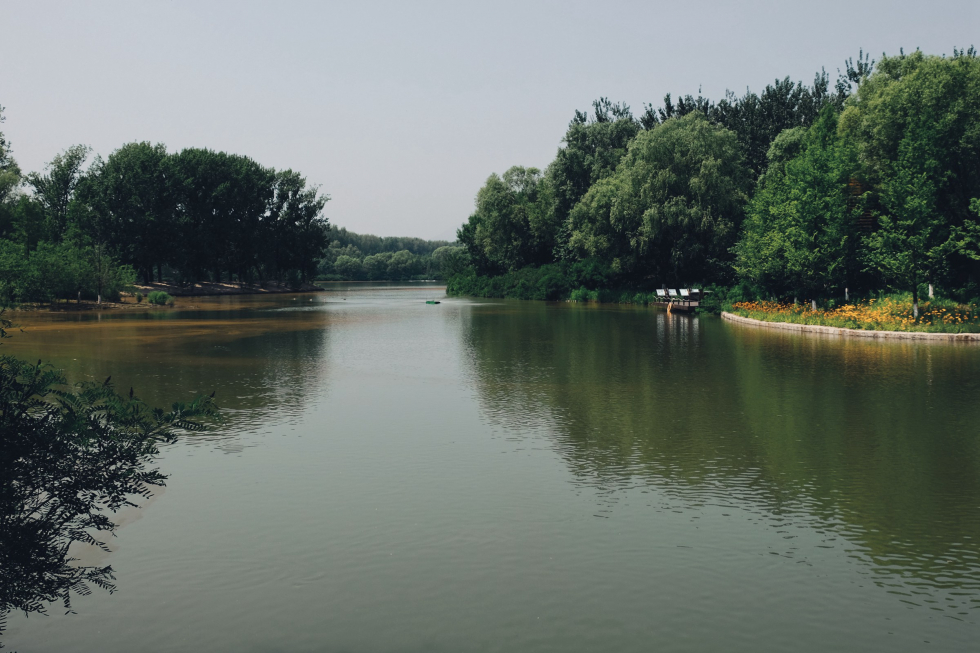 帝都翠湖溼地公園半日遊