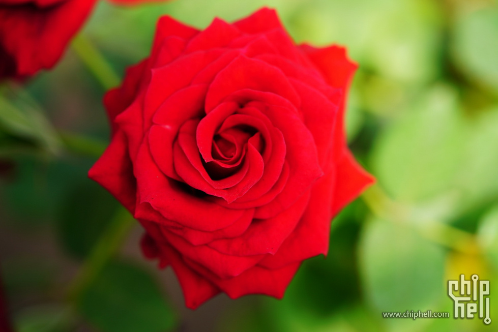 DSC05543.JPG