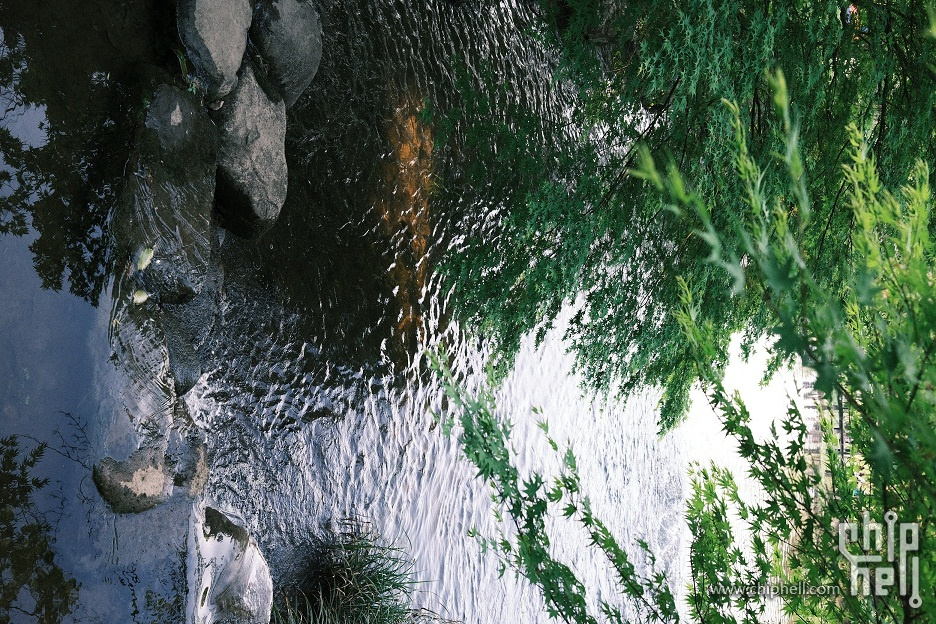 X100V (5).JPG