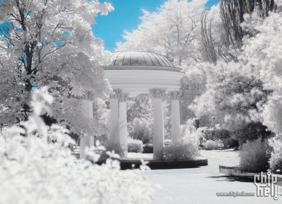 2010198_00012.jpg