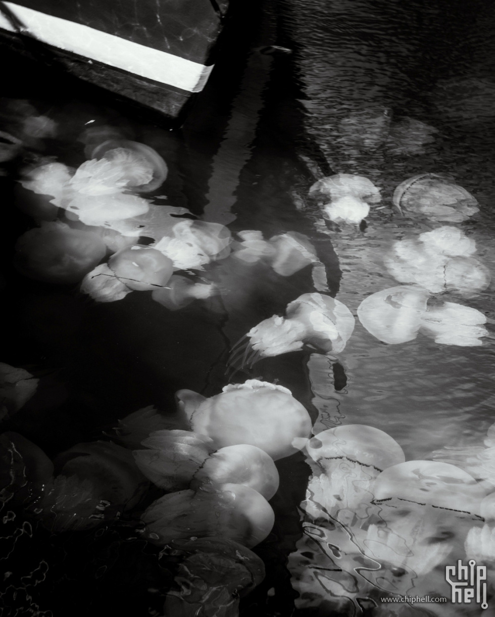 2010841_00014.jpg