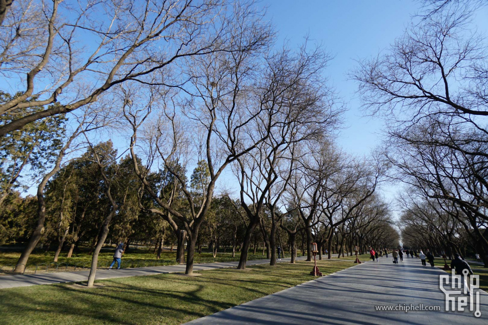 DSC07097.jpg
