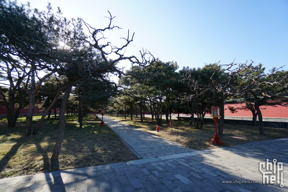 DSC07120.jpg