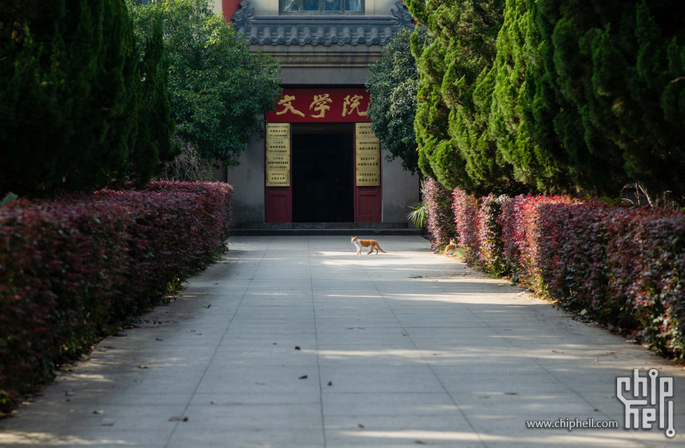 南师大后山文学院