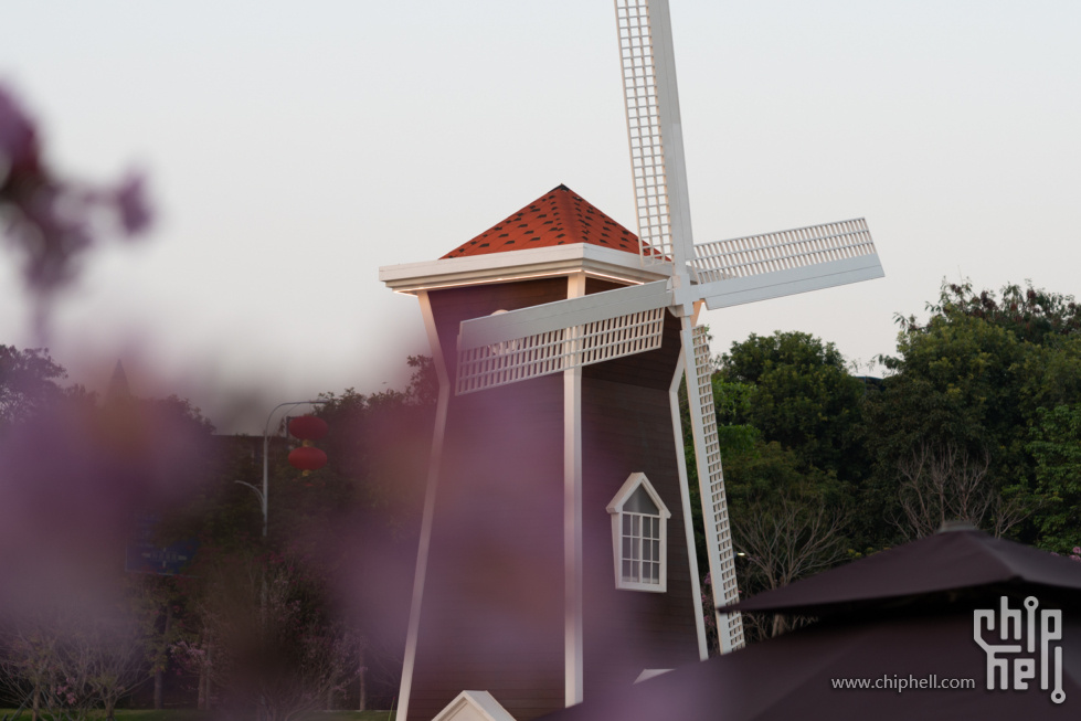 DSC09448.jpg