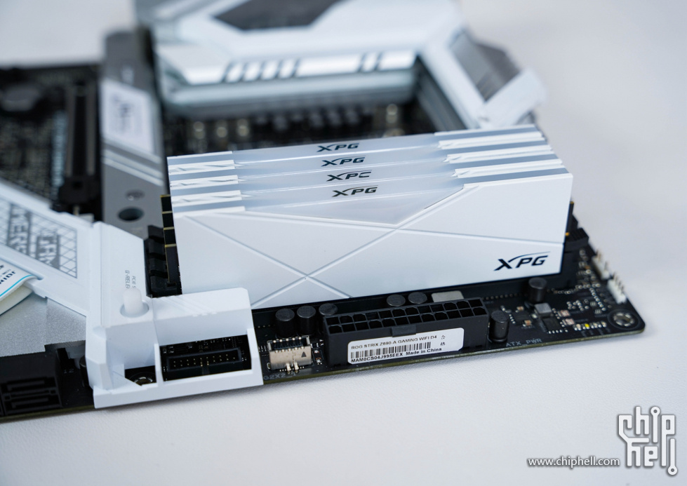 D40 (1 - 1)-44.jpg