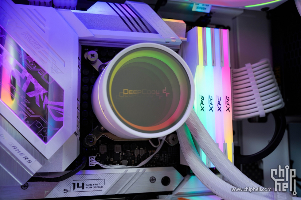 D40 (1 - 1)-71.jpg