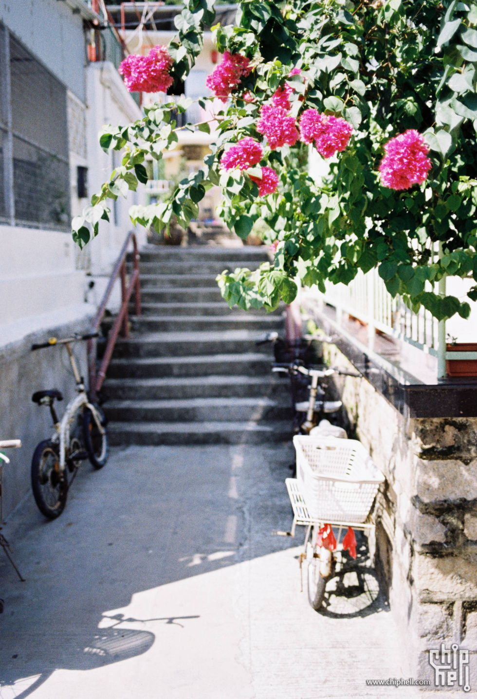 胶卷20180710B柯达COLORPLUS200-20-1.jpg