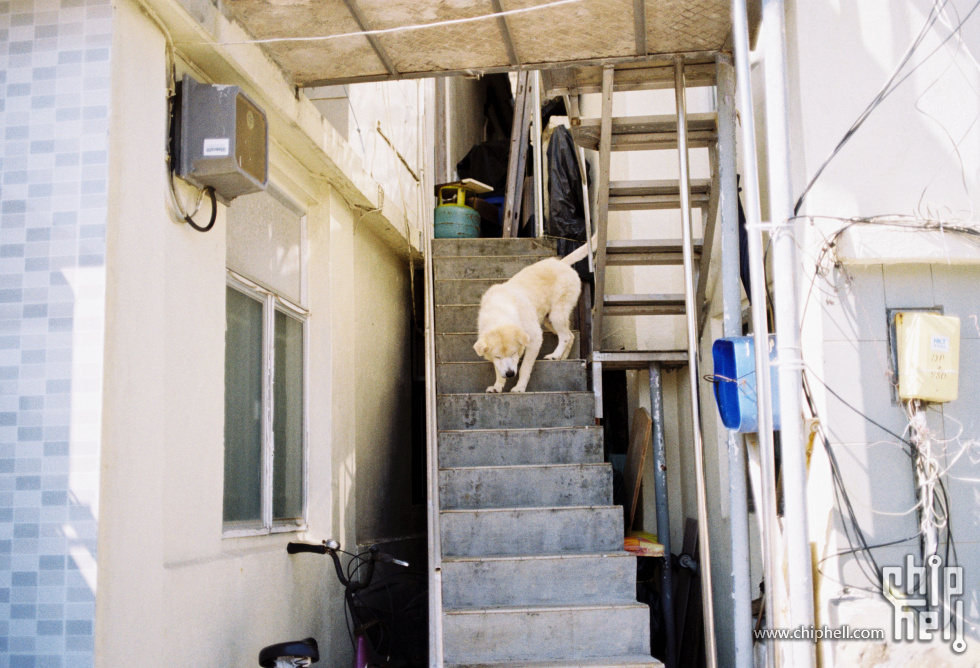 胶卷20180710B柯达COLORPLUS200-24-1.jpg