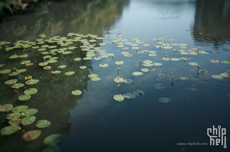 DSC01871_DxO_结果.jpg