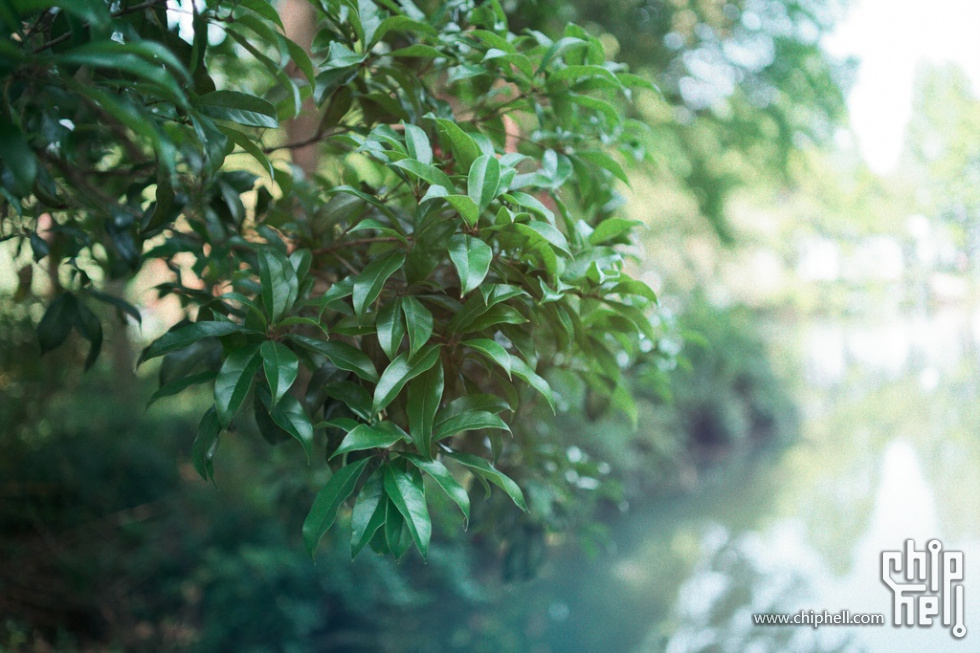 DSC01885_DxO_结果.jpg