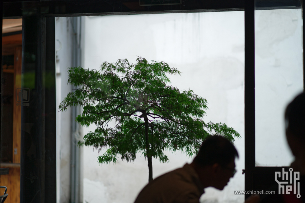 DSC02045_DxO.jpg