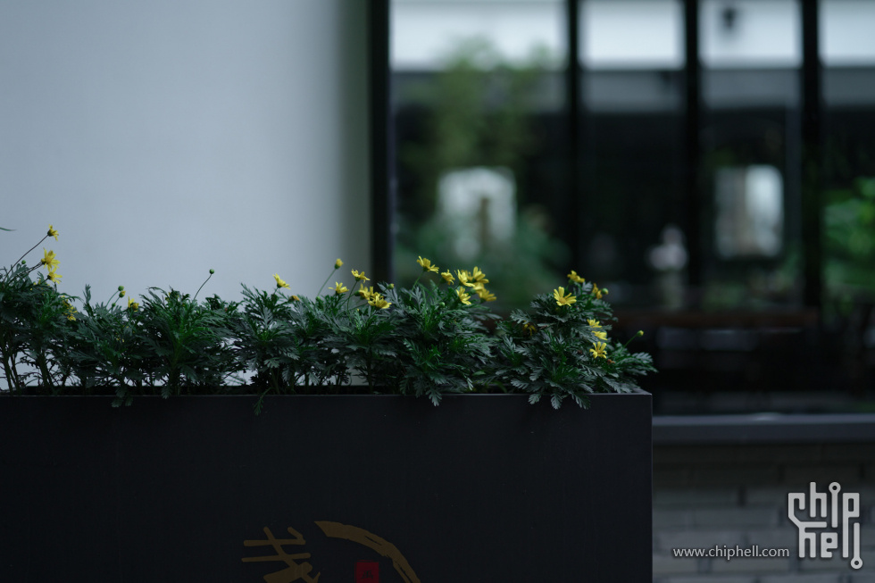 DSC02066_DxO.jpg