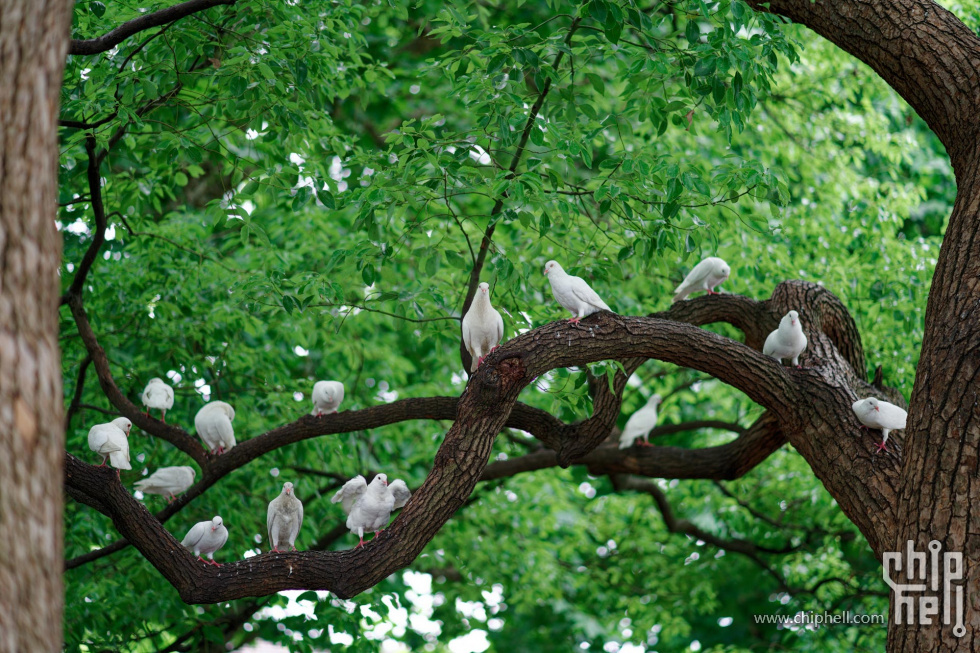 DSC02234_DxO.jpg