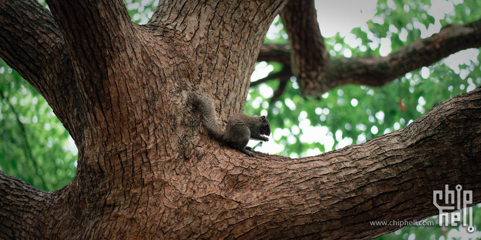 DSC02226_DxO.jpg