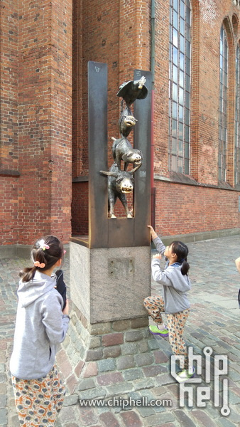 IMG_20180811_120652.jpg