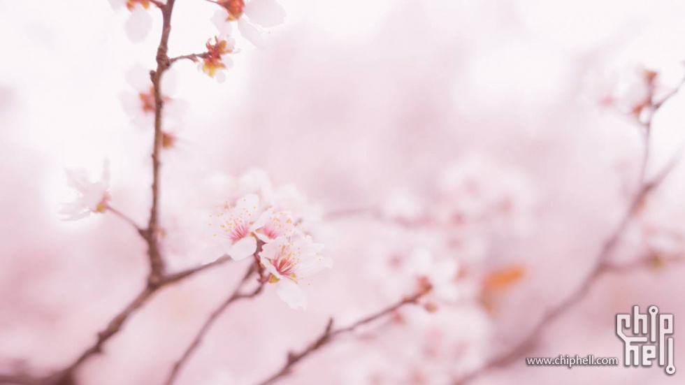 DSC_1510 - 自定义.JPG