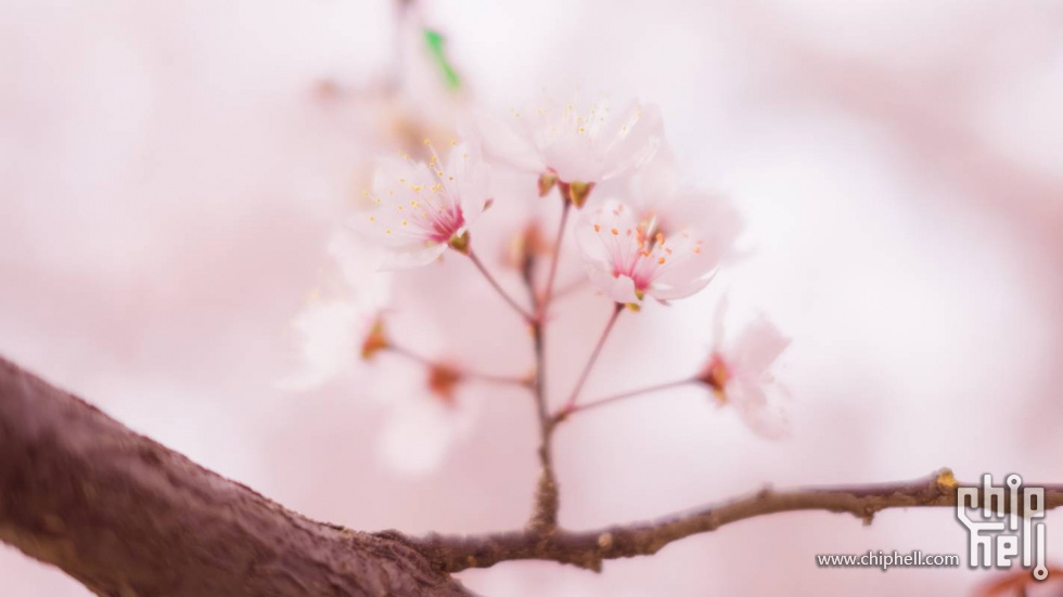 DSC_1518 - 自定义.JPG