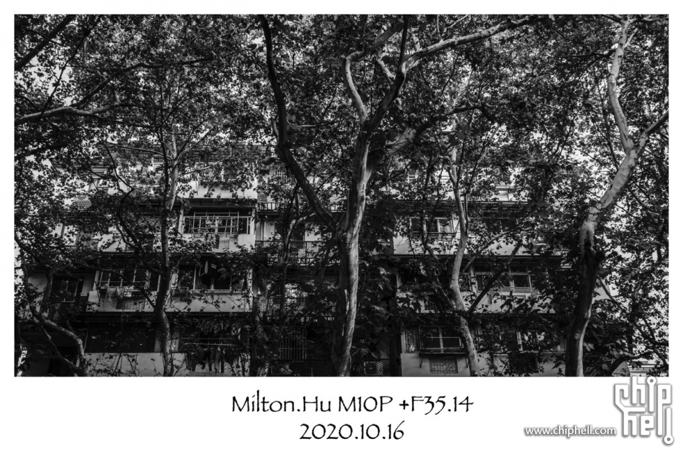 04D8D0EF-CF7E-44FA-8A16-A34CC3F3A780.jpeg