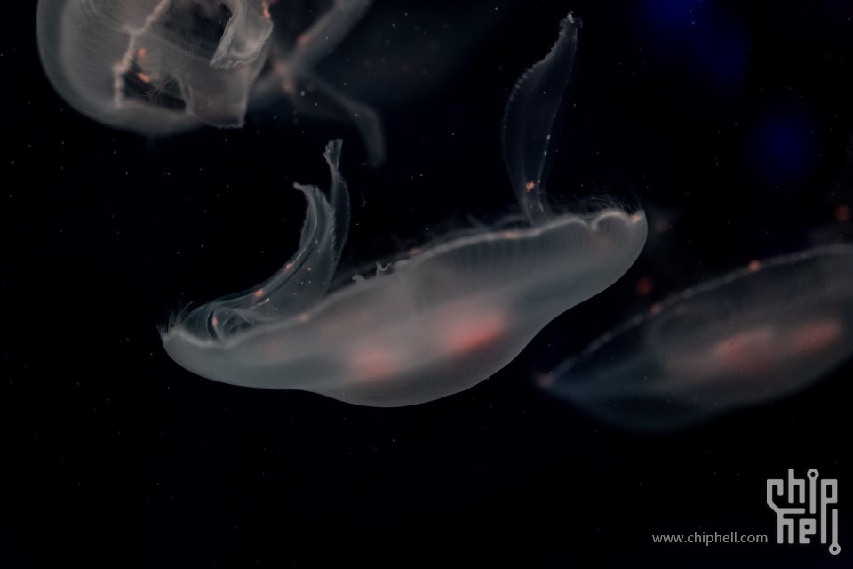 20220813_011938000_iOS (自定义).jpg