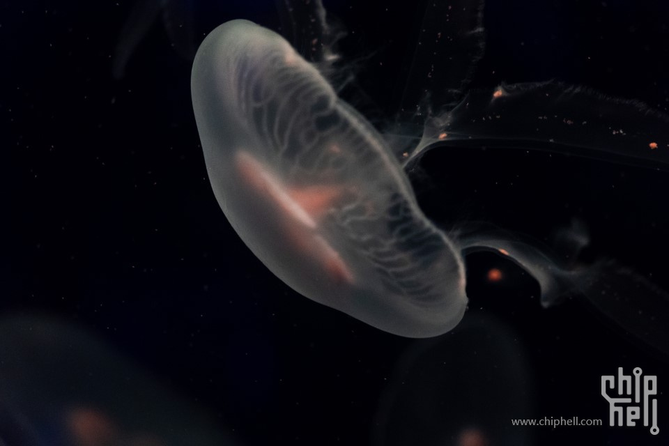 20220813_011853000_iOS (自定义).jpg