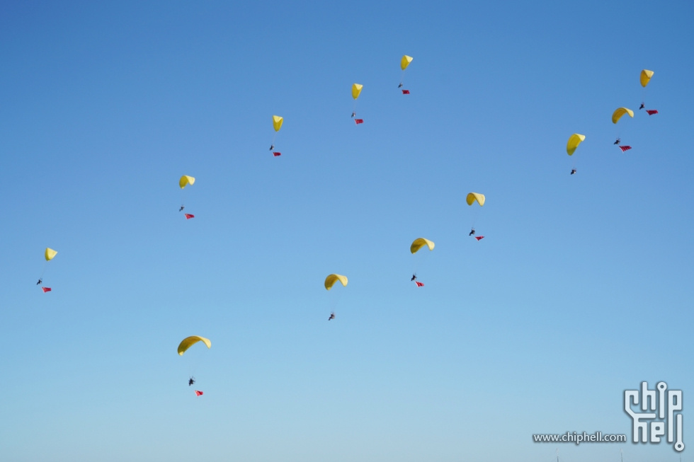 DSC08217.jpg