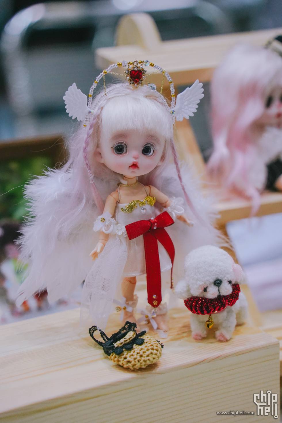 ZY700840.jpg