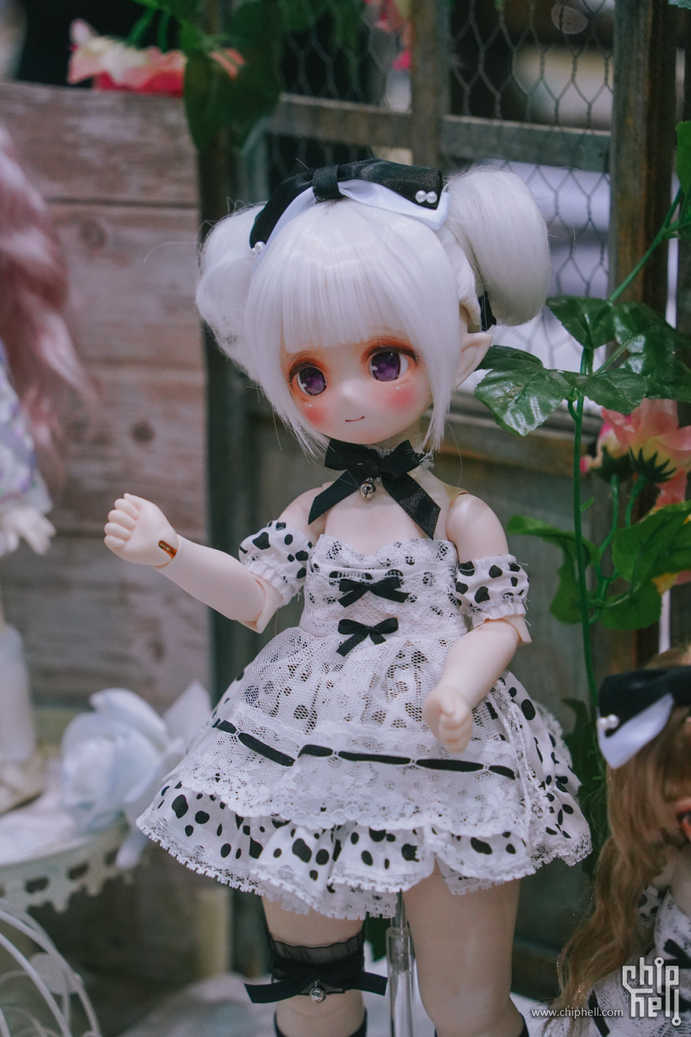 ZY700968.jpg