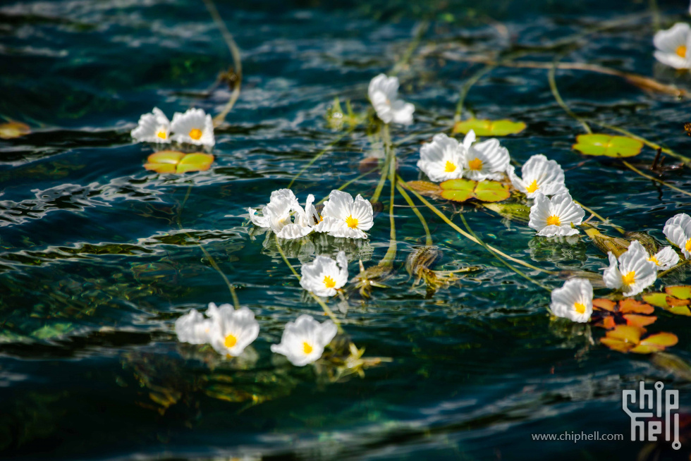 DSC_1181 拷贝.jpg