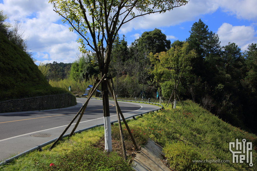 SF__0077.JPG