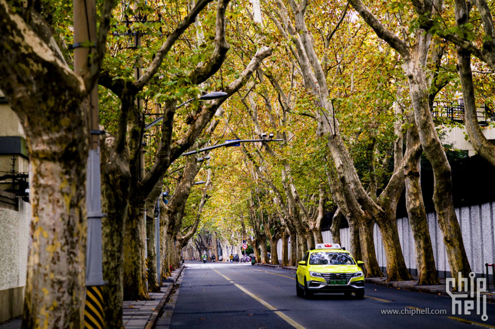 余庆路上的出租车
