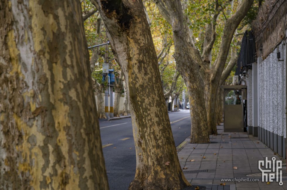 天平社区的武警
