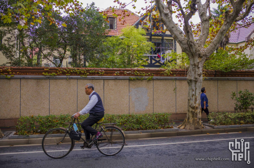 泰安路上的骑车人