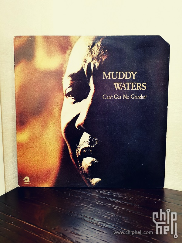 MuddyWaters1-7.jpg