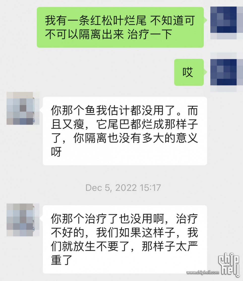 原来的卖家建议放弃治疗.jpg