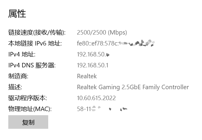 捕获Realtek_2.5G_01.PNG