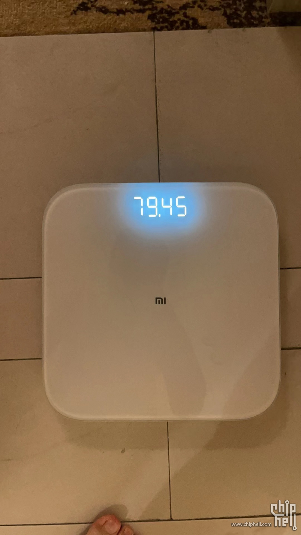 3333333.jpg