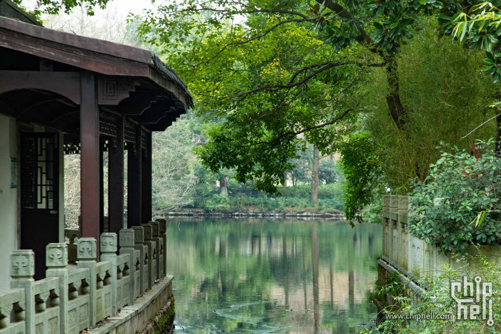 杭州-16.jpg
