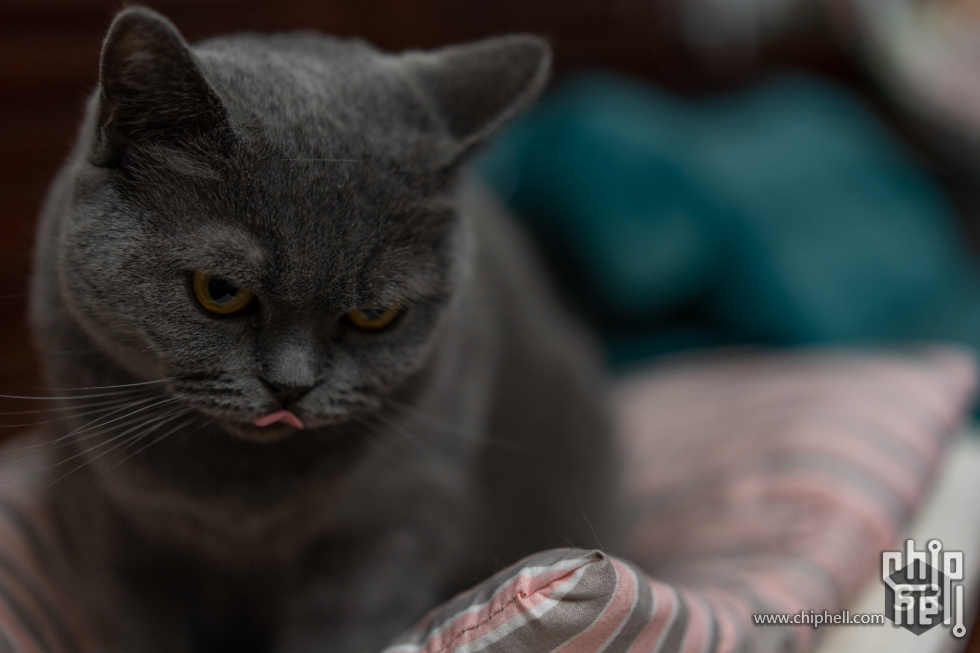 20230125-DSC01957.jpg